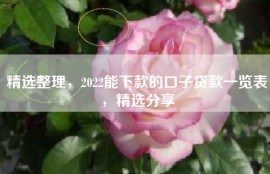 精选整理，2022能下款的口子贷款一览表，精选分享