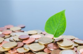 2024年黑户能下款的网贷平台有哪些？盘点5个非常容易下款的网贷口子