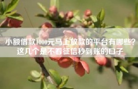 小额借款1000元马上放款的平台有哪些？这几个是不看征信秒到账的口子