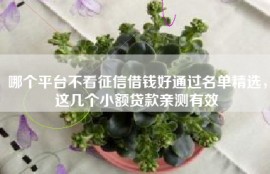 哪个平台不看征信借钱好通过名单精选，这几个小额贷款亲测有效