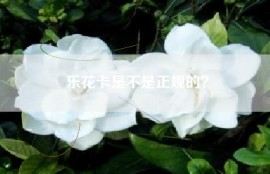 乐花卡是不是正规的？
