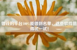 借钱的平台100%能借到名单，这些软件值得试一试！