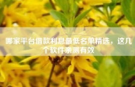 哪家平台借款利息最低名单精选，这几个软件亲测有效