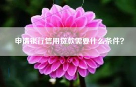 申请银行信用贷款需要什么条件？