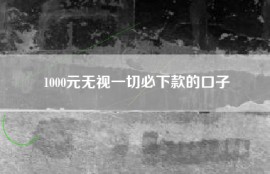1000元无视一切必下款的口子
