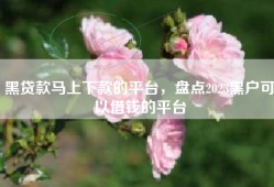 黑贷款马上下款的平台，盘点2023黑户可以借钱的平台