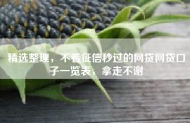 精选整理，不看征信秒过的网贷网贷口子一览表，拿走不谢