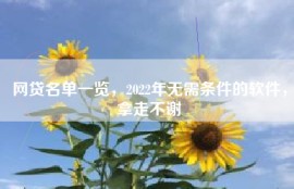 网贷名单一览，2022年无需条件的软件，拿走不谢