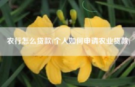 农行怎么贷款(个人如何申请农业贷款)