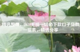 精选整理，2022无视一切必下款口子贷款一览表，精选分享