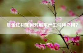 基金红利如何对股东产生何种作用？
