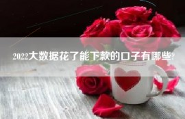 2022大数据花了能下款的口子有哪些?