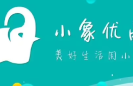 小象优品有额度为什么还审核失败？探究失败原因与解决方法！