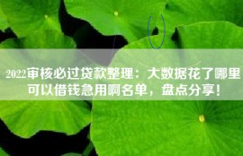 2022审核必过贷款整理：大数据花了哪里可以借钱急用啊名单，盘点分享！