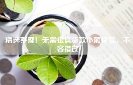 精选整理！无需征信贷款小额贷款，不容错过