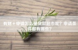 有财＋申请怎么是贷款超市呢？申请条件都有哪些？