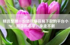 精选整理一份借款最容易下款的平台小额贷款名单，拿走不谢