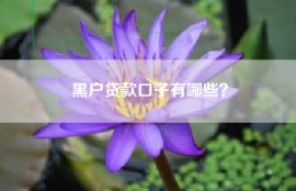 黑户贷款口子有哪些？