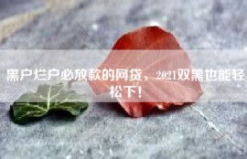 黑户烂户必放款的网贷，2021双黑也能轻松下！