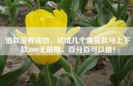 借款没有成功，试试几个黑贷款马上下款3000无前期，百分百可以借！