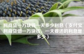 网商贷一万块钱一天多少利息（支付宝网商贷借一万块钱，一天要还的利息是多少）