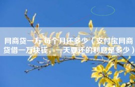 网商贷一万 每个月还多少（支付宝网商贷借一万块钱，一天要还的利息是多少）