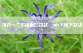 推荐一个不被拒的贷款，2021大额下款快！