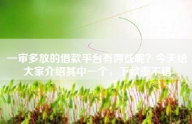 一审多放的借款平台有哪些呢？今天给大家介绍其中一个，下款率不错