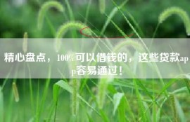 精心盘点，100%可以借钱的，这些贷款app容易通过！
