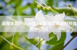 备用金如何从100变500?最新花呗临时秒提额2000方法