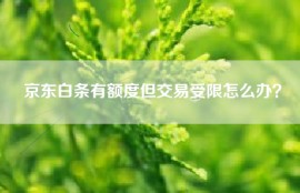 京东白条有额度但交易受限怎么办？