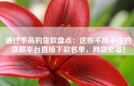 通过率高的贷款盘点：这些不用审核的贷款平台直接下款名单，网贷必备！