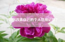 如何改善自己的个人信用记录？
