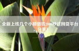 全新上线几个小额借钱2000秒过网贷平台，分享！