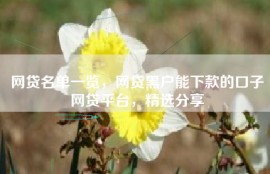 网贷名单一览，网贷黑户能下款的口子网贷平台，精选分享