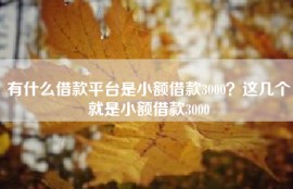 有什么借款平台是小额借款3000？这几个就是小额借款3000