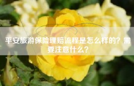 平安旅游保险理赔流程是怎么样的？需要注意什么？