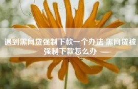 遇到黑网贷强制下款一个办法 黑网贷被强制下款怎么办