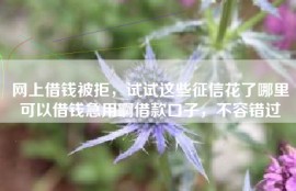 网上借钱被拒，试试这些征信花了哪里可以借钱急用啊借款口子，不容错过