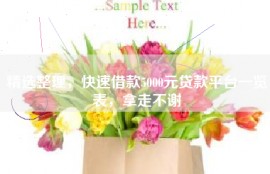 精选整理，快速借款5000元贷款平台一览表，拿走不谢