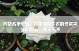 网贷名单一览，和花呗差不多的借款平台贷款app，拿走不谢