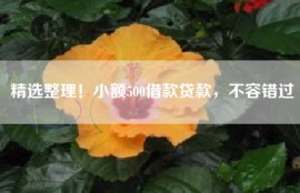 精选整理！小额500借款贷款，不容错过