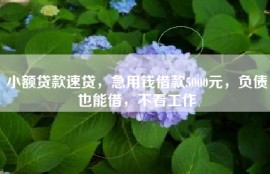 小额贷款速贷，急用钱借款5000元，负债也能借，不看工作