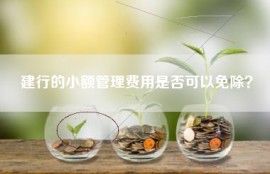 建行的小额管理费用是否可以免除？