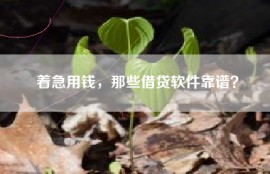 着急用钱，那些借贷软件靠谱？