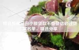 精选整理一份小额贷款不查征信必过贷款名单，精选分享