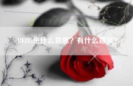 REITs是什么意思？有什么意义？