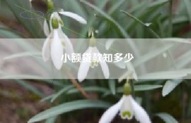 小额贷款知多少