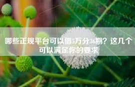 哪些正规平台可以借5万分36期？这几个可以满足你的要求