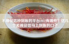 不用征信秒到账的平台2022有哪些？这几个无视征信马上到账的口子